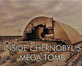 切尔诺贝利的巨型坟茔